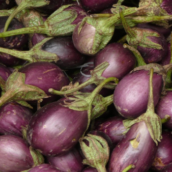 Eierbaum