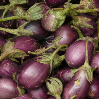Eierbaum