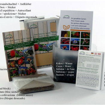 Geschenk Set