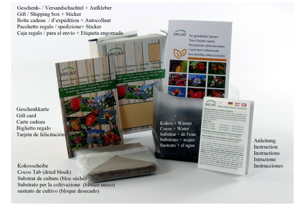 Gift Set