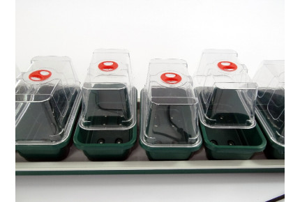 Anzuchtkasten mit 7 Mini - Gewächshäusern - Beheizt