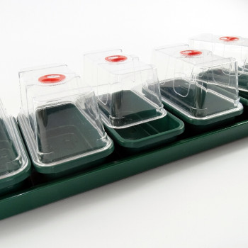 Propagation box with 7 mini greenhouses and base tray