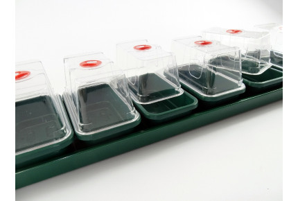 Anzuchtkasten mit 7 Mini - Gewächshäusern und Unterschale