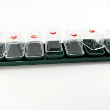 Propagation box with 7 mini greenhouses and base tray