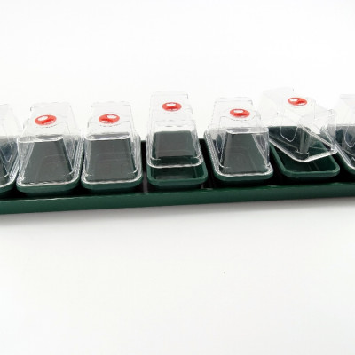 Anzuchtkasten mit 7 Mini - Gewächshäusern und Unterschale