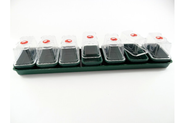 Anzuchtkasten mit 7 Mini - Gewächshäusern und Unterschale