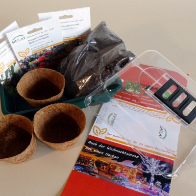 Growing kit - Christmas garden - Large