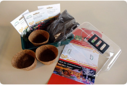 Anzuchtset - Weihnachtsgarten - Groß