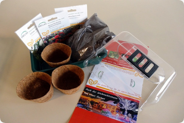 Growing kit - Christmas garden - Large