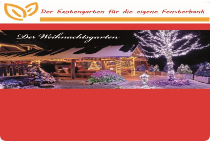 Anzuchtset - Weihnachtsgarten - Groß