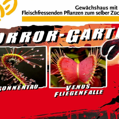 Anzuchtset - Horror Garten - Erwachsene