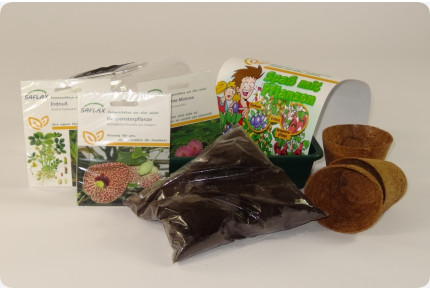 Anzuchtset - Spaß mit Pflanzen