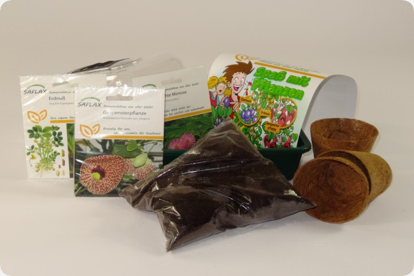 Growing kit - Fun with plants