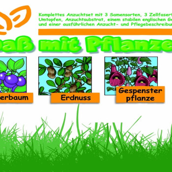 Growing kit - Fun with plants