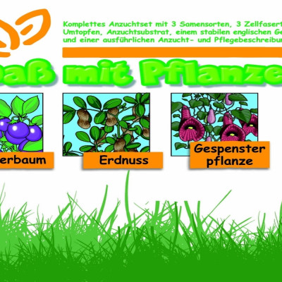 Growing kit - Fun with plants