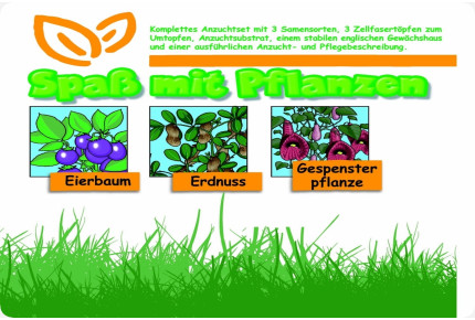 Anzuchtset - Spaß mit Pflanzen