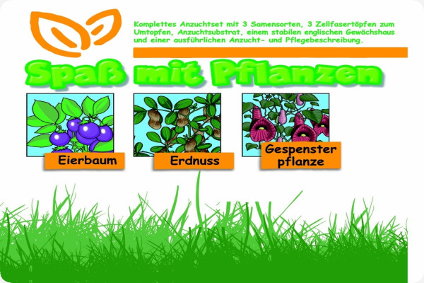 Growing kit - Fun with plants