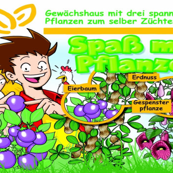 Growing kit - Fun with plants