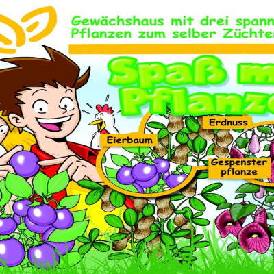 Growing kit - Fun with plants
