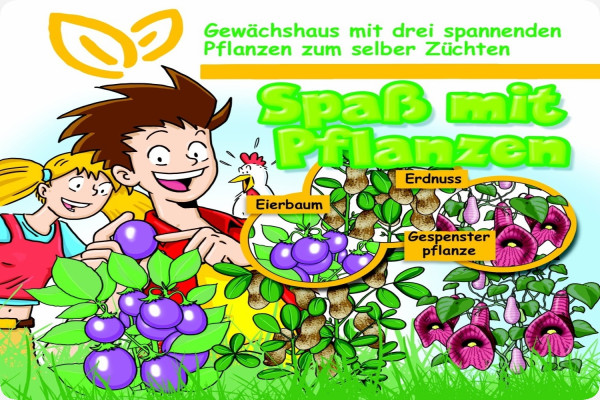 Growing kit - Fun with plants