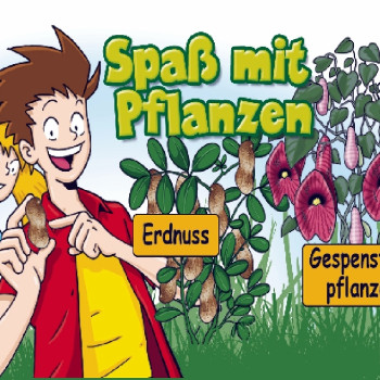 Growing kit - Fun with plants - Small