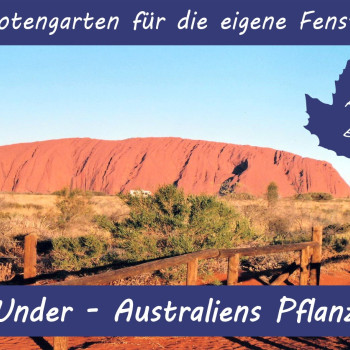 Growing kit - Australia's plant world