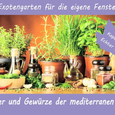 Anzuchtset - Kräuter und Gewürze der mediterranen Küche