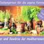 Growing kit - Herbs and spices of Mediterranean cuisine