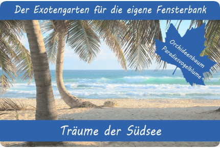 Anzuchtset - Träume der Südsee