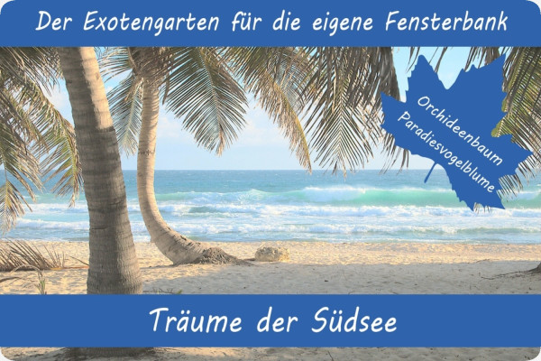 Anzuchtset - Träume der Südsee