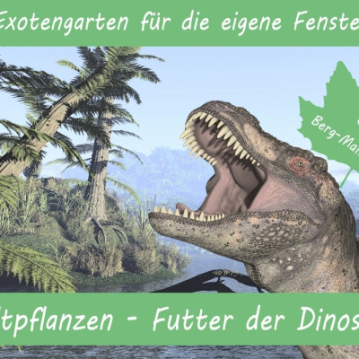 Growing kit - Prehistoric plants - Food of the dinosaurs