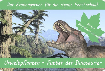 Növesztőkészlet - Őskori növények - A dinoszauruszok tápláléka