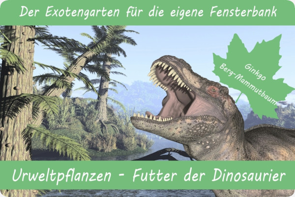 Growing kit - Prehistoric plants - Food of the dinosaurs