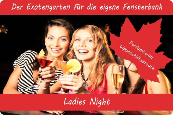 Growing kit - Ladies Night