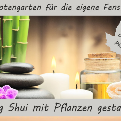 Anzuchtset - Feng Shui mit Pflanzen gestalten