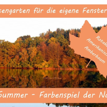 Anzuchtset - Indian Summer