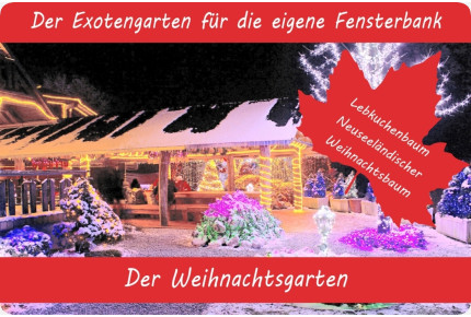 Anzuchtset - Weihnachtsgarten