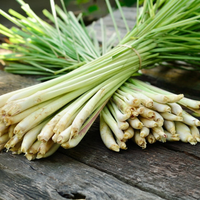 Growing kit - Exotic spice delight