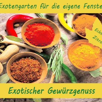 Anzuchtset - Exotischer Gewürzgenuss