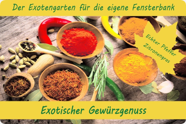 Growing kit - Exotic spice delight