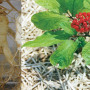 ginseng