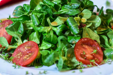 Feldsalat - Saatband