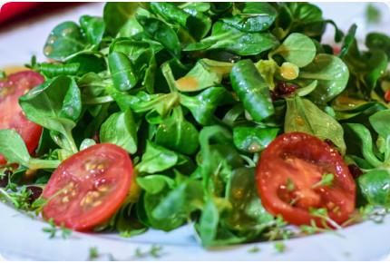 Feldsalat - Saatband