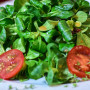 Feldsalat - Saatband