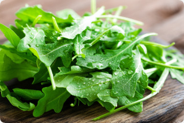 Rucola - Saatband