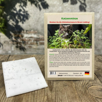 Katzenminze - Saatband