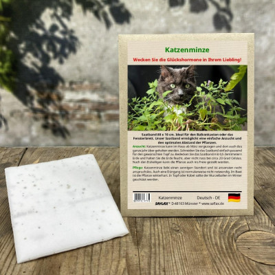 Katzenminze - Saatband