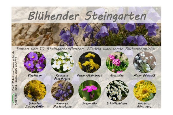 Blühender Steingarten - Samenset