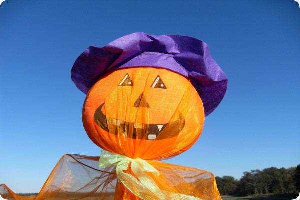 Laternenkürbis Jack O'Lantern