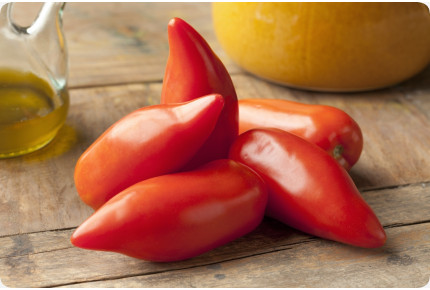 Tomate - Andenhorn / Cornue des Andes